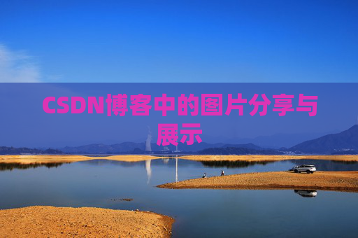 CSDN博客中的图片分享与展示